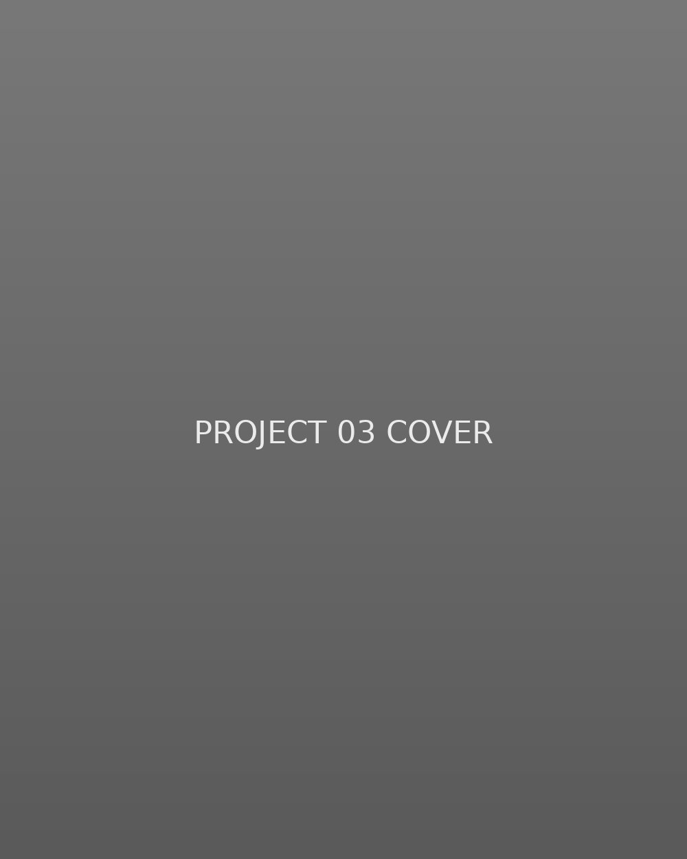 Project 03